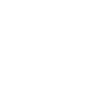 Experienced Logo