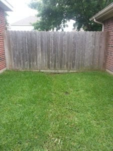 Fence Cleaning and Restoration in Cypress Tx