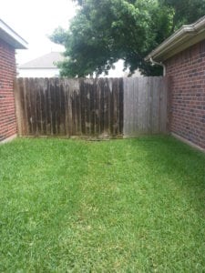 Fence Cleaning and Restoration in Cypress Tx