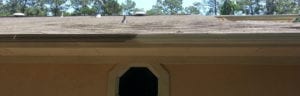 GUTTER WHITENING Your gutters are clog-free and ready for action. You’re prepared for any rainy day. But is your property’s curb appeal up to snuff, too? With a gutter brightening solution from Cypress Pro Wash, the answer will always be “yes!” WHERE PRACTICALITY AND CURB APPEAL MEET There’s no denying it: your gutters are one of the most singularly functional aspects of your space. But that doesn’t mean they should be at the expense of your property’s curb appeal. Cypress Pro Wash offers a gutter brightening solution that will: Remove tiger stripes Our special cleaning products are designed to remove the “stripes” of dirt and grime that run down the length of your gutter system. Lift away stains Dirt, pollen, and other imperfections are a thing of the past with our professional service on the job. Kill mold and algae These bacteria, plus mildew and moss, are a common sight on gutters. But we don’t just remove them – we kill the spore growth.